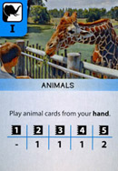 Animals