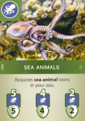 Sea Animals