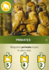 Primates