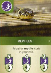 Reptiles